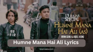 Humne Mana Hai Ali Lyrics