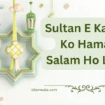 Sultan E Karbala Ko Hamara Salam Ho Lyrics