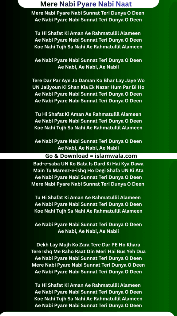 Mere Nabi Pyare Nabi Naat Lyrics In English