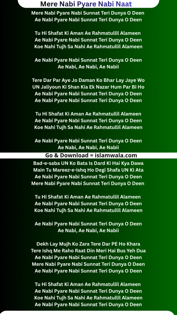 Mere Nabi Pyare Nabi Naat Lyrics In English