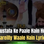 Mustafa Ke Paale Hain Naat Lyrics