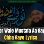 Noor Wale Mustafa Aa Gaye Chha Gaye Lyrics
